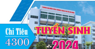 THÔNG BÁO TUYỂN SINH CAO ĐẲNG CHÍNH QUY 2024